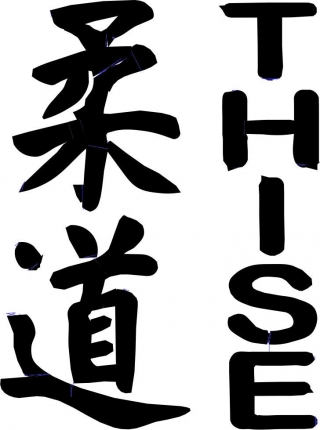 L AVENIR DE THISE JUDO